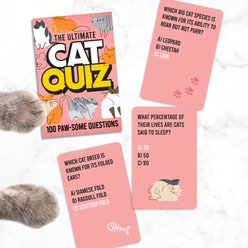 Gift Republic Cat Quiz Card Pack