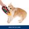 Show in main carousel: BARK Bark-B-Q Squeaky Stuffing-Free Flying Disc Dog Toy, Multicolor slide 7 of 10