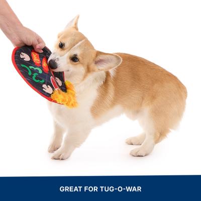 Show full view: BARK Bark-B-Q Squeaky Stuffing-Free Flying Disc Dog Toy, Multicolor slide 7 of 10