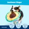 Show in main carousel: BARK Sunflower Flinger Tough Squeaky Stuffing-Free Flying Disc Dog Toy, Multicolor slide 3 of 9