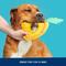 Show in main carousel: BARK Pineapple Fling Tough Squeaky Stuffing-Free Flying Disc Dog Toy, Multicolor slide 6 of 9