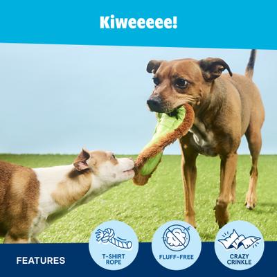 Show full view: BARK Kiweeeee! Squeaky Stuffing-Free Flying Disc Dog Toy, Multicolor slide 3 of 9