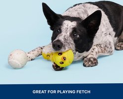 BARK Play Hatch Tough Squeaky Ball Dog Toy, Multicolor, Medium slide 2 of 9