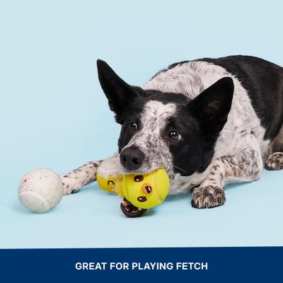 Show full view: BARK Play Hatch Tough Squeaky Ball Dog Toy, Multicolor, Medium slide 6 of 9