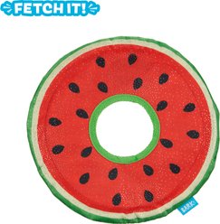 BARK Slobbermelon Fetch Squeaky Stuffing-Free Flying Disc Dog Toy, Multicolor slide 2 of 9