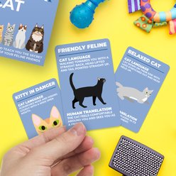 Gift Republic How To Speak Cat Card Pack