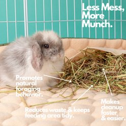 Hoppd HutchLiner 2.0 New Premium Edition Smallpet Bedding, Pumpkin Spice, Midwest: 47 x 24-in slide 2 of 9