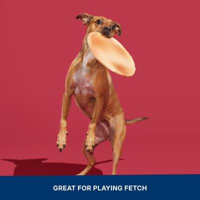 Show full view: BARK Signore Pizza Face Squeaky Stuffing-Free Flying Disc Dog Toy, Multicolor slide 6 of 9