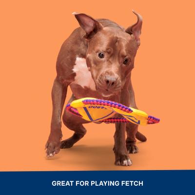 Show full view: BARK Kangaroo Tossing Tough Squeaky Flying Disc Dog Toy, Multicolor slide 6 of 9