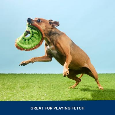 Show full view: BARK Kiweeeee! Squeaky Stuffing-Free Flying Disc Dog Toy, Multicolor slide 6 of 9