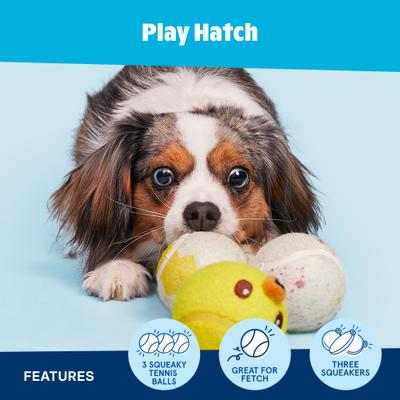 Show full view: BARK Play Hatch Tough Squeaky Ball Dog Toy, Multicolor, Medium slide 3 of 9