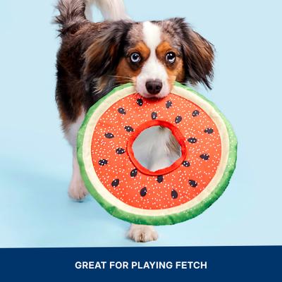 Show full view: BARK Slobbermelon Fetch Squeaky Stuffing-Free Flying Disc Dog Toy, Multicolor slide 7 of 10