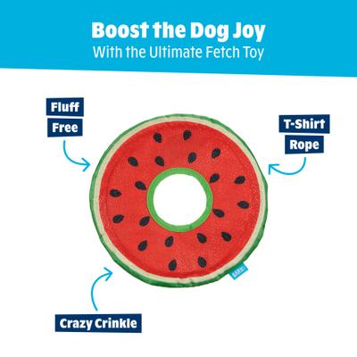 Show full view: BARK Slobbermelon Fetch Squeaky Stuffing-Free Flying Disc Dog Toy, Multicolor slide 5 of 10