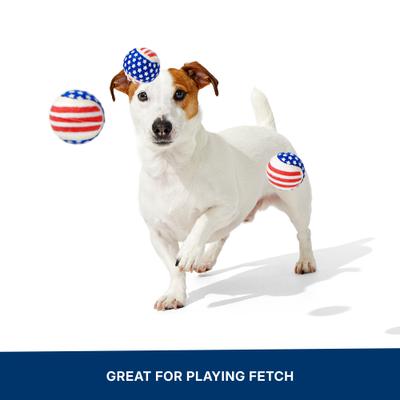 Show full view: BARK Fetch of July Squeaky Ball Dog Toy, Multicolor, Medium slide 6 of 9