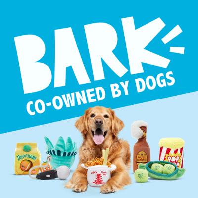 Show full view: BARK Bark-B-Q Squeaky Stuffing-Free Flying Disc Dog Toy, Multicolor slide 9 of 10