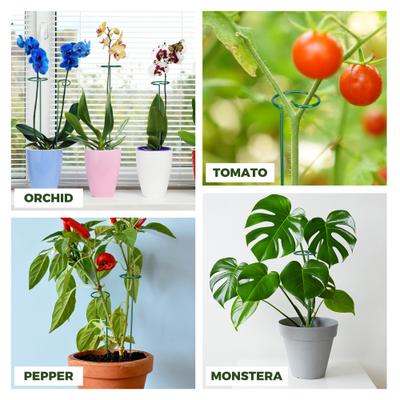 Show full view: Kingsyard 36-in Durable Bird Plant Support Stakes, Green, 20 count slide 8 of 10