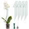 Show in main carousel: Kingsyard 36-in Durable Bird Plant Support Stakes, Green, 20 count slide 1 of 10