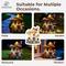 Show in main carousel: Yarty Solar Garden Statue Lights Mushroom Bird Fairy House Figurine slide 6 of 9