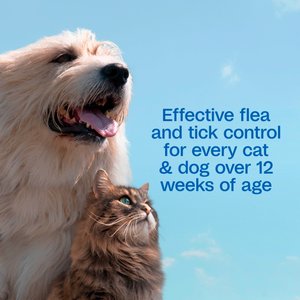 ADAMS Botanicals Flea & Tick Shampoo for Dogs & Cats, 16-fl oz bottle