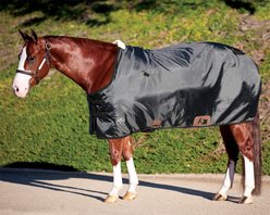 Professional's Choice Horse Nylon Day Sheet, Black, 68-in