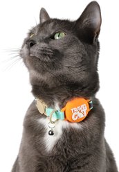 Travel Cat AirTag Holder Nylon Reflective Breakaway with Bell Cat Collar, 9 to 12-in neck, 1/2-in wide, Earth slide 2 of 6
