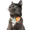 Show in main carousel: Travel Cat AirTag Holder Nylon Reflective Breakaway with Bell Cat Collar, 9 to 12-in neck, 1/2-in wide, Earth slide 2 of 6