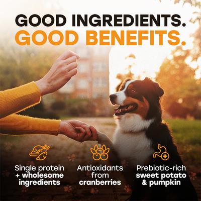 Show full view: Pup Choice Turkey Day Treats with Sweet Potato, Pumpkin & Cranberry Freeze-Dried Raw Treats for Training & Topping, 5.5-oz bag, 300 count slide 6 of 9