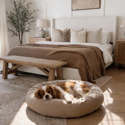 Show full view: Allisandro Luxury Donut Ultra Soft Velvet Supportive Bolster Design Orthopedic Elevated Dog & Cat Bed with Removable Cover & Handle, Beige, 36 x 36-in slide 4 of 9