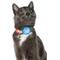 Show in main carousel: Travel Cat AirTag Holder Nylon Reflective Breakaway with Bell Cat Collar, 9 to 12-in neck, 1/2-in wide, Neon 90s slide 3 of 7