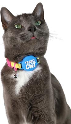 Show full view: Travel Cat AirTag Holder Nylon Reflective Breakaway with Bell Cat Collar, 9 to 12-in neck, 1/2-in wide, Neon 90s slide 3 of 7