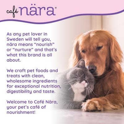 Show full view: Cafe Nara Jerky Squares Salmon Flavor Skin & Coat Support Dog Treats, 5-oz bag slide 4 of 9