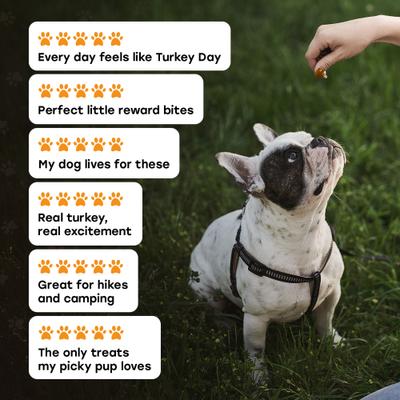 Show full view: Pup Choice Turkey Day Treats with Sweet Potato, Pumpkin & Cranberry Freeze-Dried Raw Treats for Training & Topping, 5.5-oz bag, 300 count slide 8 of 9