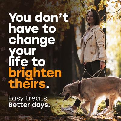 Show full view: Pup Choice Turkey Day Treats with Sweet Potato, Pumpkin & Cranberry Freeze-Dried Raw Treats for Training & Topping, 5.5-oz bag, 300 count slide 3 of 9