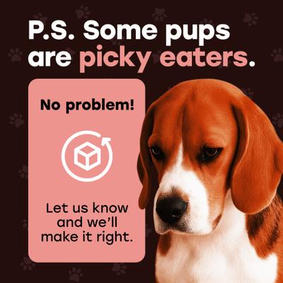 Show full view: Pup Choice Wild Catch Freeze-Dried Salmon & Sweet Potato for Training & Meal Topping Dog Treats, 5.5-oz bag, 300 count slide 9 of 9