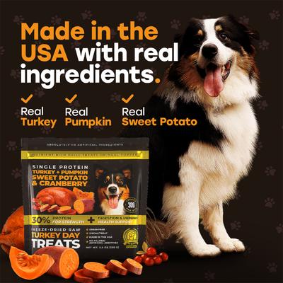 Show full view: Pup Choice Turkey Day Treats with Sweet Potato, Pumpkin & Cranberry Freeze-Dried Raw Treats for Training & Topping, 5.5-oz bag, 300 count slide 4 of 9