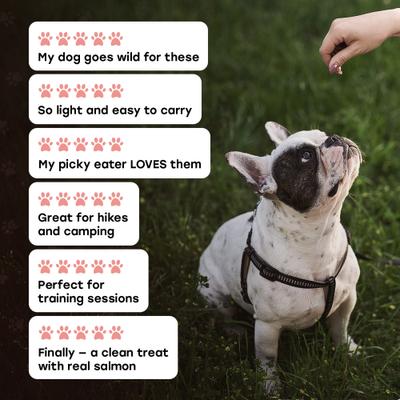 Show full view: Pup Choice Wild Catch Freeze-Dried Salmon & Sweet Potato for Training & Meal Topping Dog Treats, 5.5-oz bag, 300 count slide 8 of 9