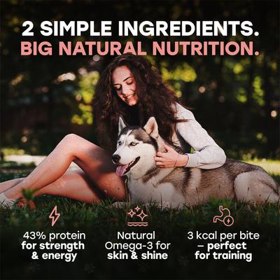 Show full view: Pup Choice Wild Catch Freeze-Dried Salmon & Sweet Potato for Training & Meal Topping Dog Treats, 5.5-oz bag, 300 count slide 6 of 9