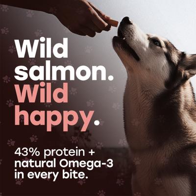 Show full view: Pup Choice Wild Catch Freeze-Dried Salmon & Sweet Potato for Training & Meal Topping Dog Treats, 5.5-oz bag, 300 count slide 4 of 9