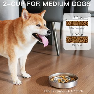Feedoo Double-Wall Non-Skid Stainless Steel Slow Feeder Dog Bowl, Medium: 1.8-cup