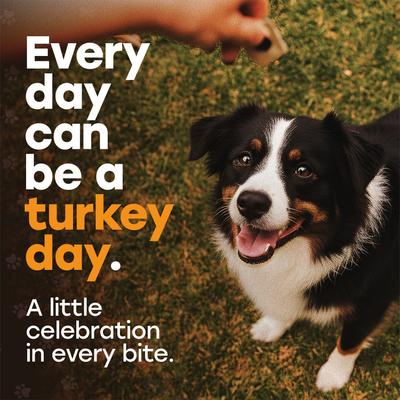 Show full view: Pup Choice Turkey Day Treats with Sweet Potato, Pumpkin & Cranberry Freeze-Dried Raw Treats for Training & Topping, 5.5-oz bag, 300 count slide 7 of 9