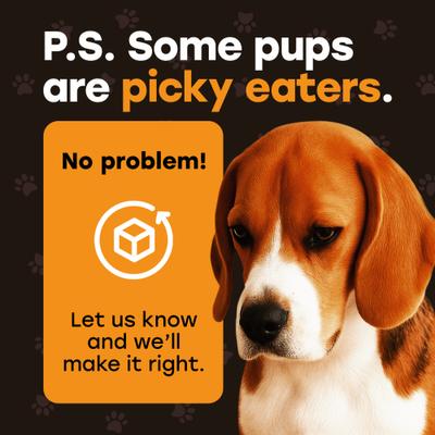 Show full view: Pup Choice Turkey Day Treats with Sweet Potato, Pumpkin & Cranberry Freeze-Dried Raw Treats for Training & Topping, 5.5-oz bag, 300 count slide 9 of 9