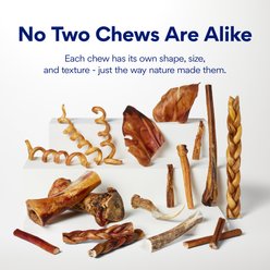 Chewy Made Standard Bully Stick 6" Dog Treats (FORMERLY BONES & CHEWS), 6 count slide 2 of 8