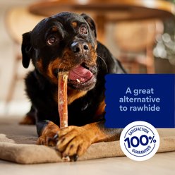 Chewy Made Standard Bully Stick 12" Dog Treats (FORMERLY BONES & CHEWS), 35 count slide 2 of 8