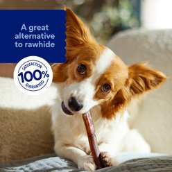 Chewy Made Standard Bully Stick 6" Dog Treats (FORMERLY BONES & CHEWS), 1 count slide 2 of 8