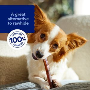 Chewy Made Standard Bully Stick 6" Dog Treats (FORMERLY BONES & CHEWS), 6 count