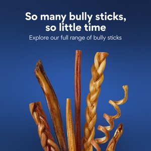 Chewy Made Standard Bully Stick 6" Dog Treats (FORMERLY BONES & CHEWS), 6 count