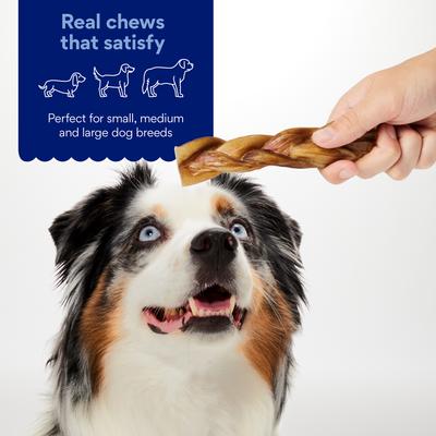 Show full view: Chewy Made Braided Bully Stick 6" Dog Treats (FORMERLY BONES & CHEWS), 3 count slide 3 of 9