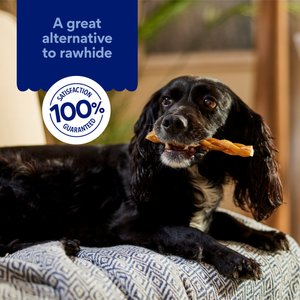 Chewy Made Braided Bully Stick 6" Dog Treats (FORMERLY BONES & CHEWS), 3 count