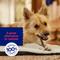 Show in main carousel: Chewy Made Beef Esophagus Dog Treats (FORMERLY BONES & CHEWS), 1-lb bag slide 7 of 10