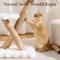 Show in main carousel: Hittite Indoor Natural Solid Wood 32-in Faux Fur Cat Tree Tower with Scratching Post, Cozy Bed & Platforms, White slide 5 of 11